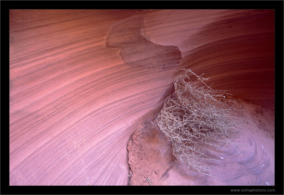 Lower Antelope Canyon