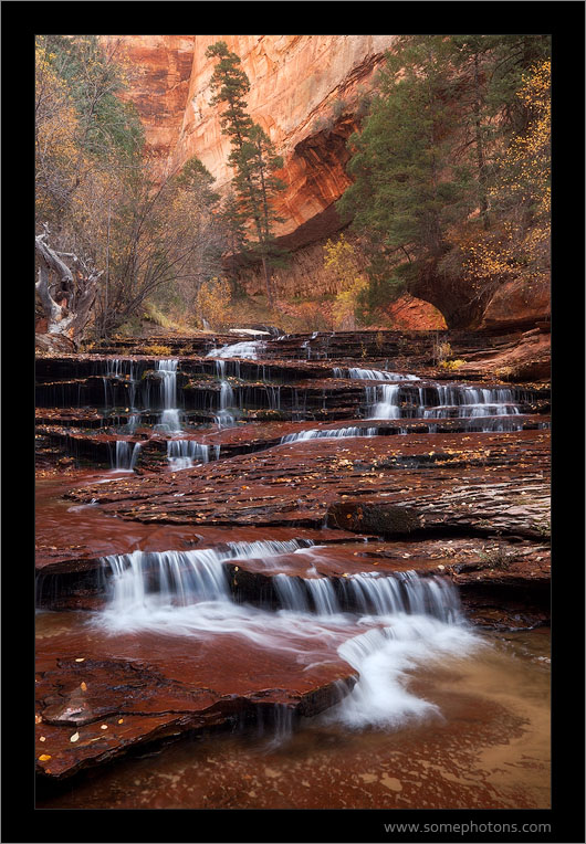 Left Fork North Creek, Zion National Park