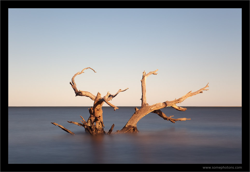 Big Talbot Island, Florida