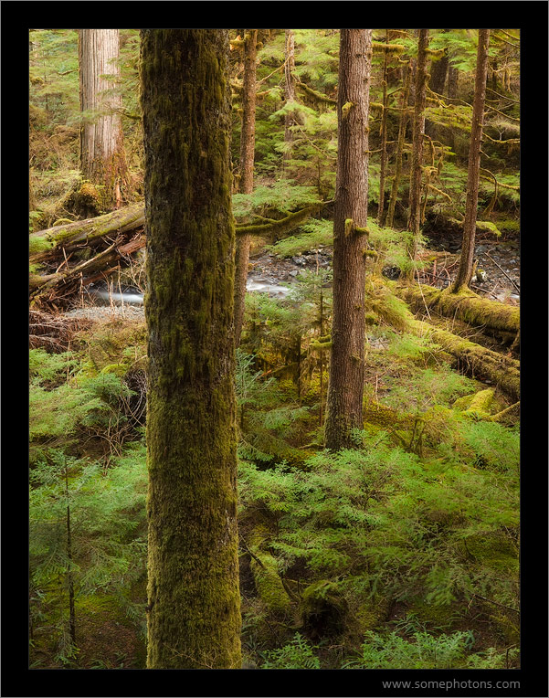 Lake 22 Trail, Washington