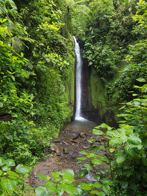 Costa Rica, near Arenal