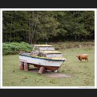 Cow and boat, Washington
