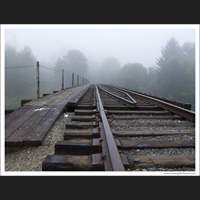 Tracks, Washington