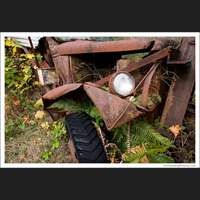 Truck and overgrowth, Washington
