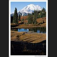 Mt Rainier, Washington