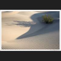 Sand Dunes, Death Valley, California