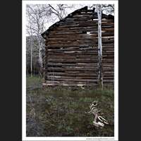 Cabin and Skeleton, Central Washington