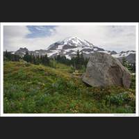 Spray Park, Mt Rainier National Park, Washington