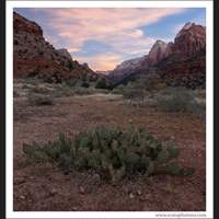 Zion National Park, Utah
