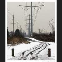 Winter, near Auburn, Washington