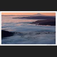 Mt Rainier and Fog, Washington