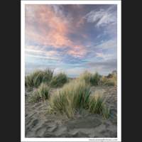 Golden Gardens Park, Seattle, Washington
