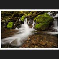 Olympic National Park, Washington