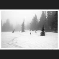 Mt Rainier National Park, Washington