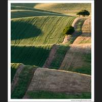 The Palouse, Washington