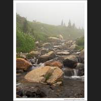 Mt Rainier National Park, Washington