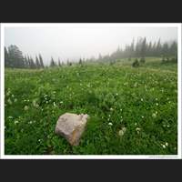 Mt Rainier National Park, Washington