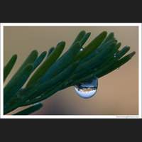 Mt Shuksan in a Droplet, Washington