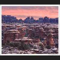 Canyonlands National Park, Utah.  The strangest landscape I've ever been in.