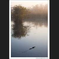 Everglades National Park, Florida