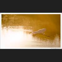 Everglades National Park, Florida