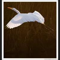 Everglades National Park, Florida