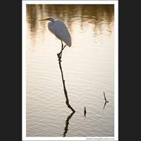 Everglades National Park, Florida