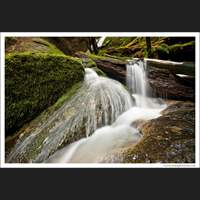 Coal Creek Falls, Cougar Mountain, Washington