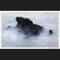 Puget Sound, Washington