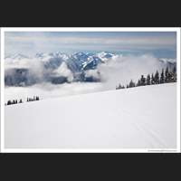 Faded tracks, Olympic National Park, Washington