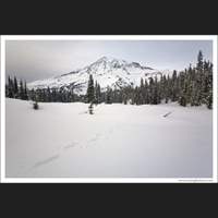 Mt Rainier National Park, Washington
