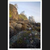 Olympic National Park, Washington