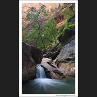 Orderville Canyon, Zion National Park, Utah