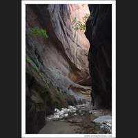 Orderville Canyon, Zion National Park, Utah