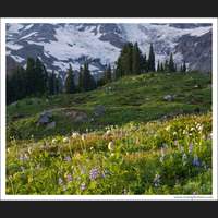 Mt Rainier Layers