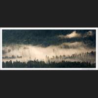 Morning Fog, Grand Teton National Park, Wyoming
