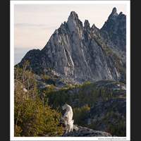 Mountain Goats and Prusik Peak, Alpine Lakes Wilderness, Washington