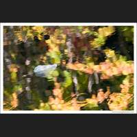 Autumn, Nason Creek, Washington