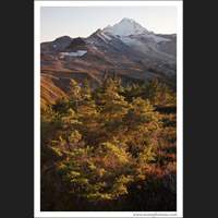 Mt Baker, Washington
