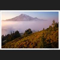 Mt Rainier