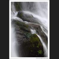 Cascade Falls, Quinault, Washington