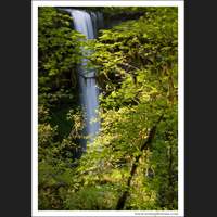 Silver Falls, Oregon