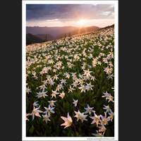 Olympic National Park, Washington