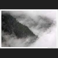 Stevens Canyon, Mt Rainier National Park, Washington