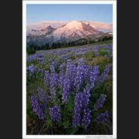 Sunrise, Mt Rainier, Washington