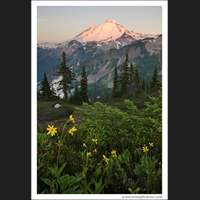 Sunrise, Mt Baker, Washington