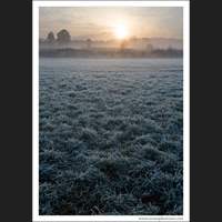Fog and frost, Redmond, Washington