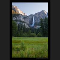 Morning, Yosemite