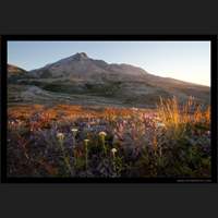 Mt St Helens