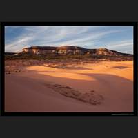 Coral Pink Sand Dunes, Utah